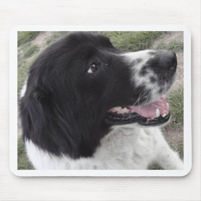 Sara Bulgarian Shepherd Dog Mouse Mat (Front)