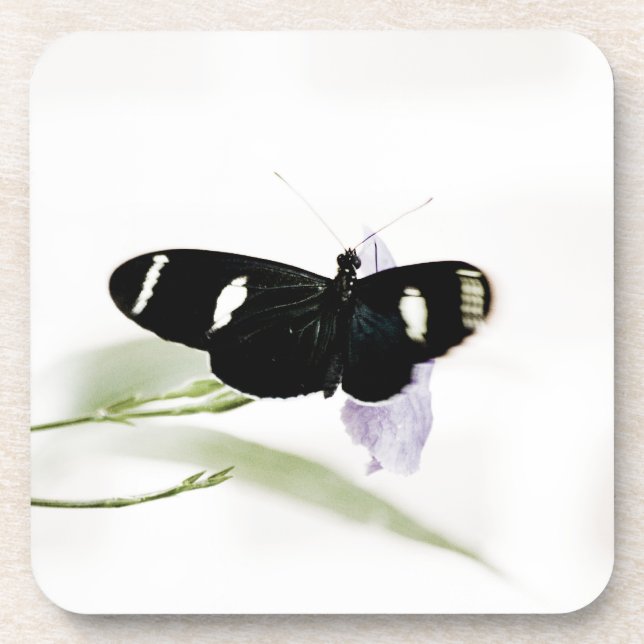 Sara Cork Coaster (Front)