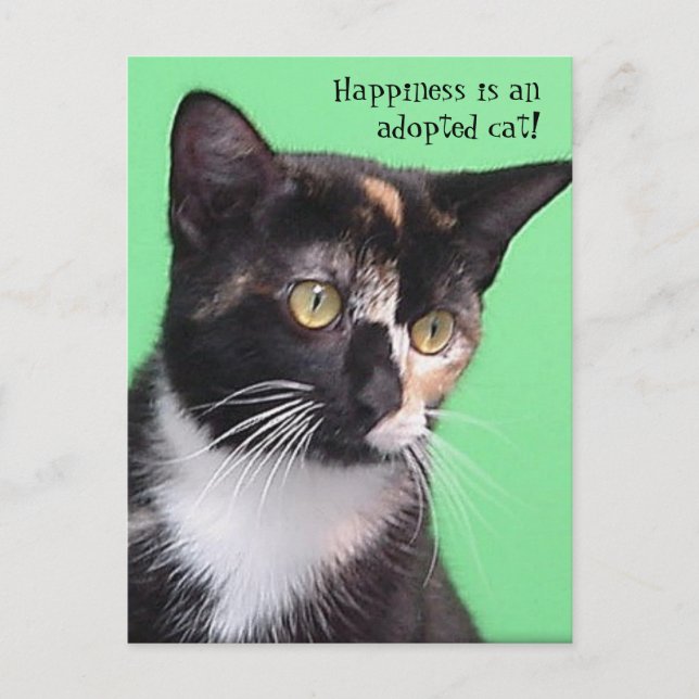 Sara - Happiness is an adopted cat! Postcard (Front)