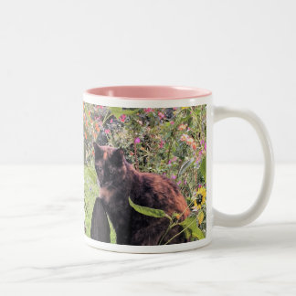 Sara on the Fence Two-Tone Coffee Mug