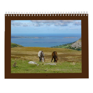 Sarah Woodbury's Carneddau Ponies Calendar