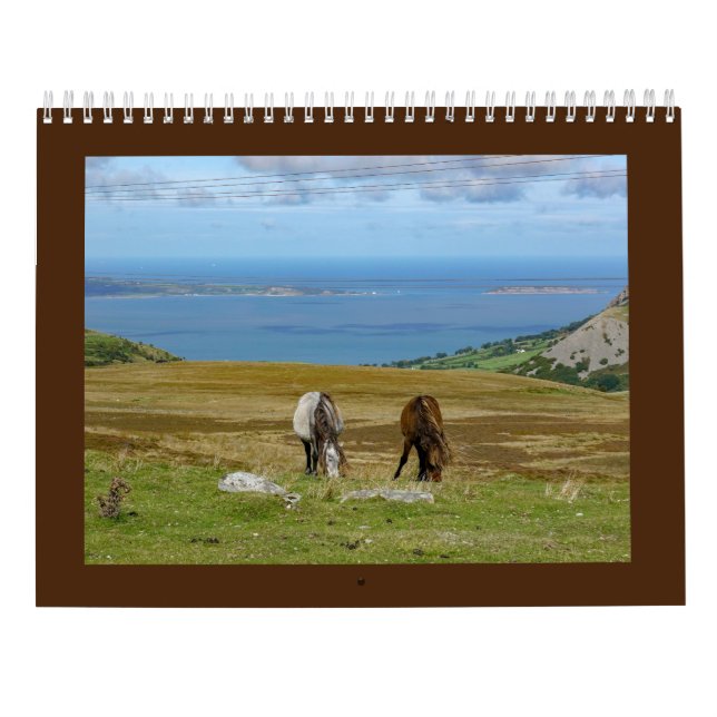 Sarah Woodbury's Carneddau Ponies Calendar (Back)