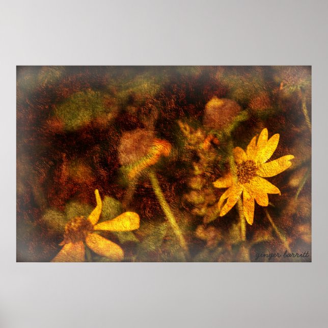 Sarah's Poster (Front)