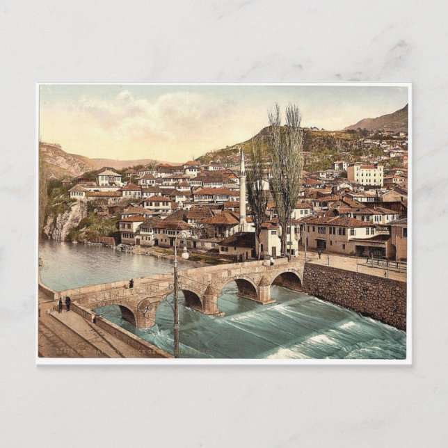 Sarajcvo (i.e., Sarajevo), looking towards Alifako Postcard (Front)