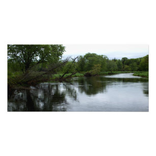 "Saranac River" Photo of Adirondack River & Trees Print