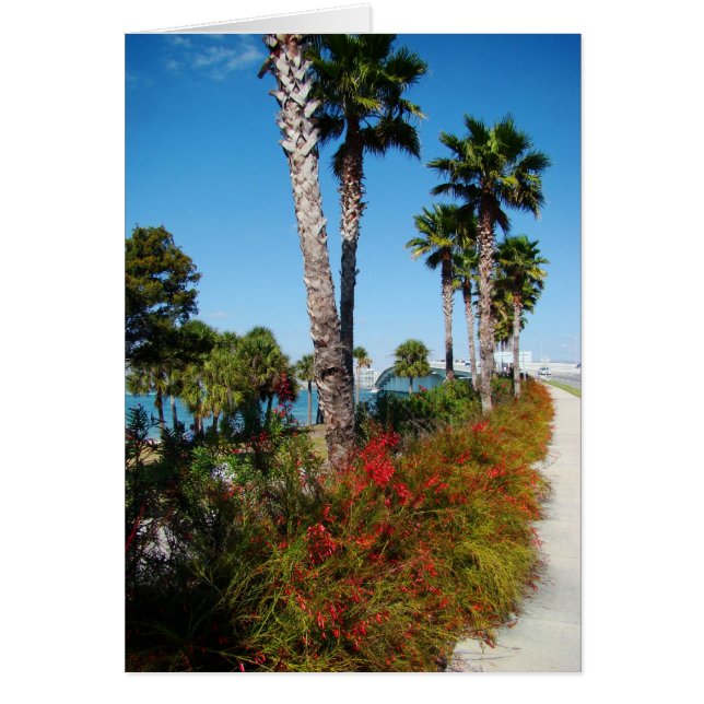 Sarasota Ringling Bridge (Front)