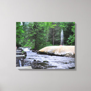 Saratoga Spa State Park-Geyser Creek Canvas Print