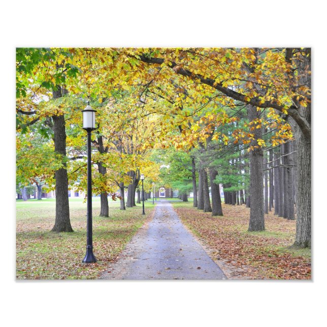 Saratoga Spa State Park Photo Print (Front)