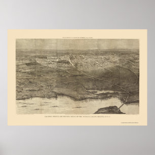 Saratoga Springs, NY Panoramic Map - 1874 Poster