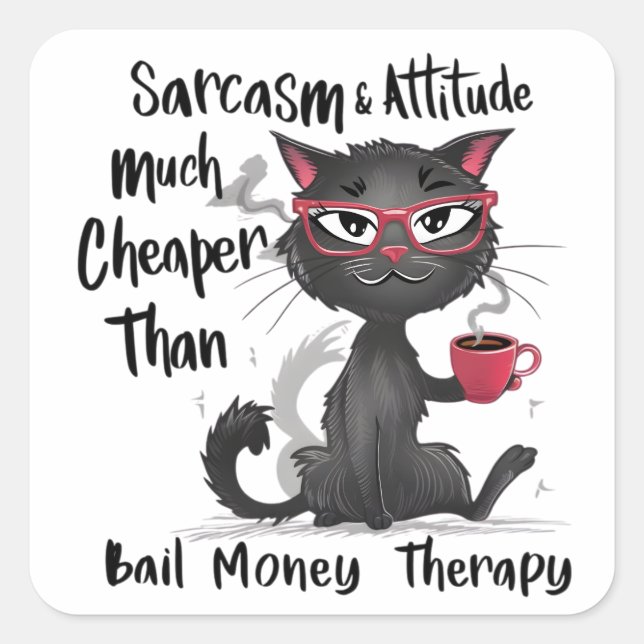 Sarcasm & Attitude Funny Cat Lover Gift  Square Sticker (Front)