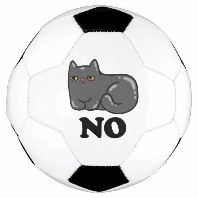 Sarcasm Cat Football (Front)