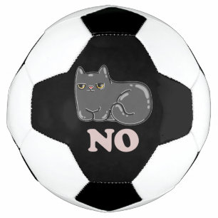 Sarcasm Cat Football