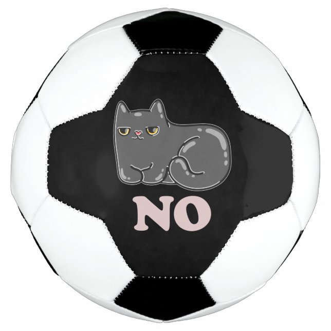 Sarcasm Cat Football (Front)