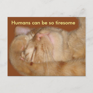 Sarcastic Cat - Humans Can Be So Tiresome Postcard
