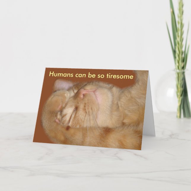Sarcastic Cat Valentine's Day Card (Front)