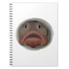Sarcastic Fringehead - Fish Head Notebook