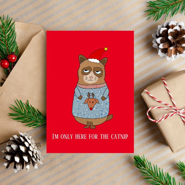 Sarcastic Funny Christmas Cat Holiday Card (Creator Uploaded)