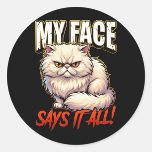 Sarcastic Persian Cat My Face Says It All Classic Round Sticker