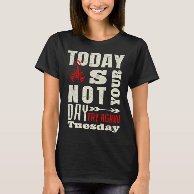 Sarcastic Scorpion Today is not your day T-Shirt (Front)