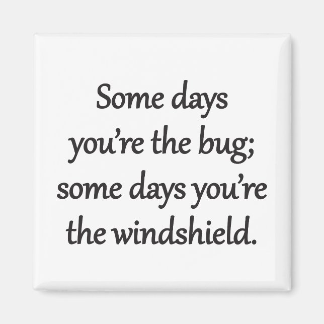 Sarcastic Zen Phrase - The Bug And The Windshield Magnet (Front)