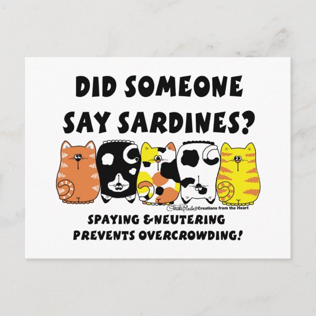 Sardine Cats Postcard (Front)