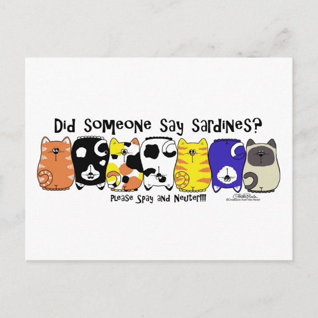 Sardine Cats Postcard (Front)