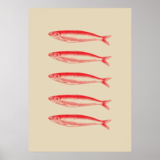 Sardines Fish Fisherman Poster (Front)