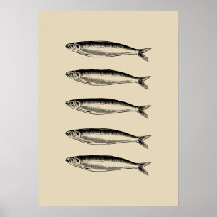 Sardines Fish Poster