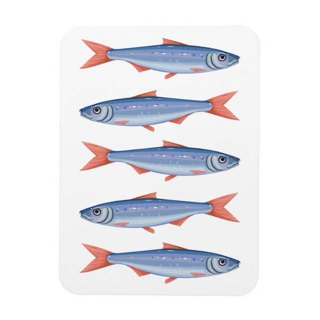 Sardines Magnet (Vertical)