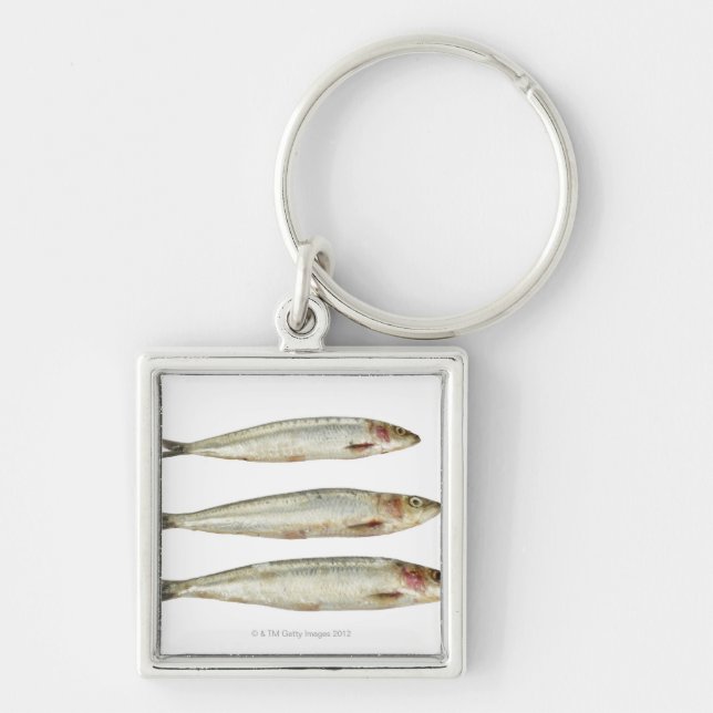 Sardines (Pilchards) 2 Key Ring (Front)