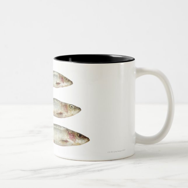 Sardines (Pilchards) 2 Two-Tone Coffee Mug (Right)
