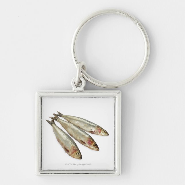 Sardines (Pilchards) Key Ring (Front)