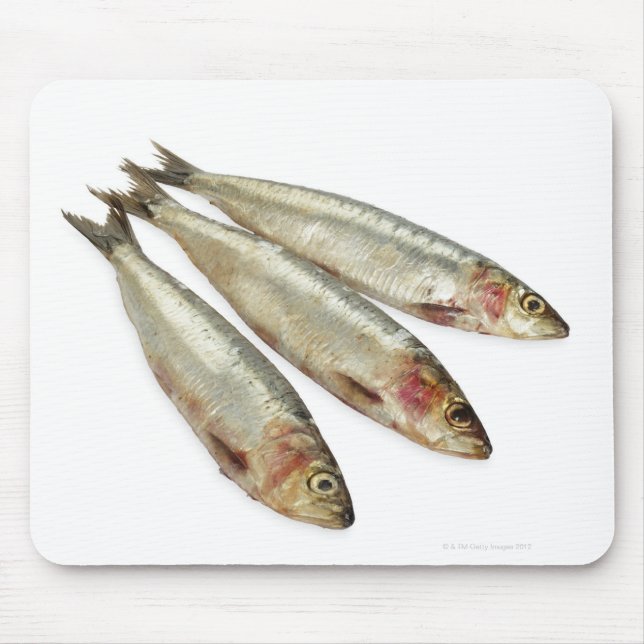 Sardines (Pilchards) Mouse Mat (Front)