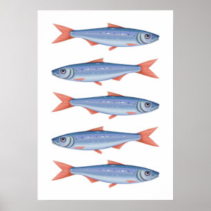 Sardines Poster