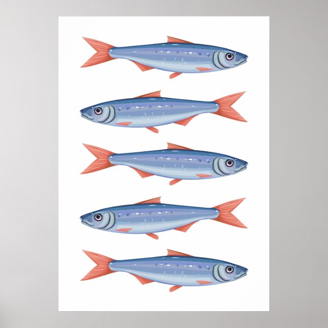 Sardines Poster (Front)