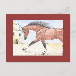 "Saree bint Sehkit" Postcard