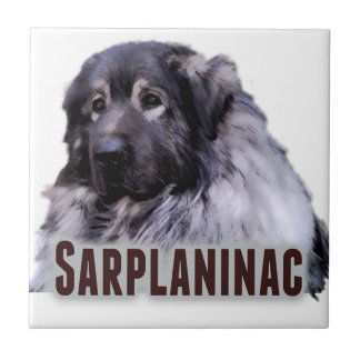 Sarplaninac Tile