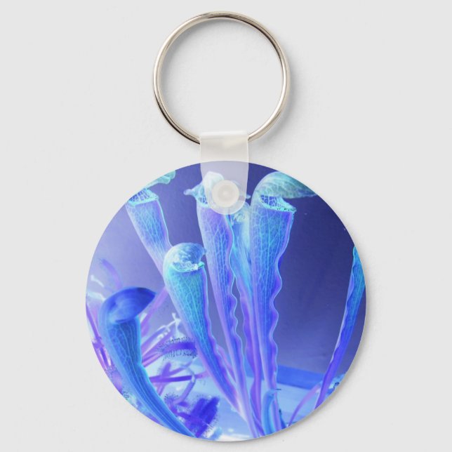 sarracenia blues key ring (Front)