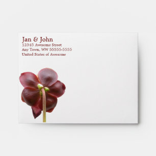 Sarracenia Pitcher Plant Flower Envelopes