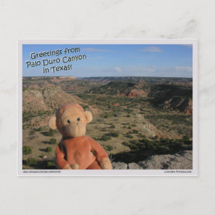 Saru #3 postcard