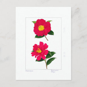 Sasanqua Plate: Ryomenko & Hiryu Postcard