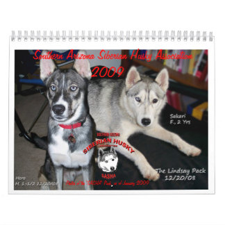 SASHA 2009 Calendar