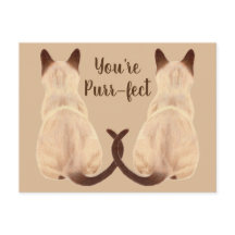 Sasha Siamese Cat Lover Back View You're Purrfect