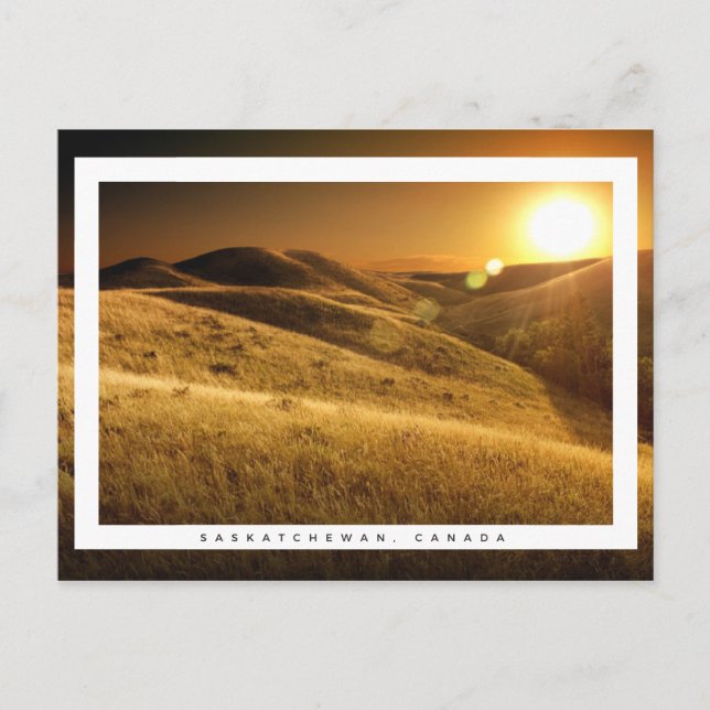 Saskatchewan, Canada Postcard (Front)