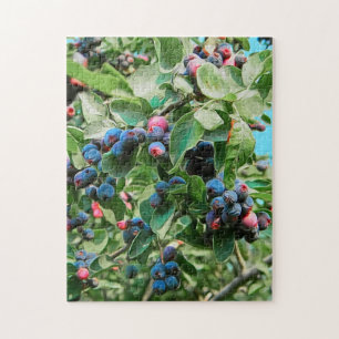 Saskatoon Jigsaw Puzzle