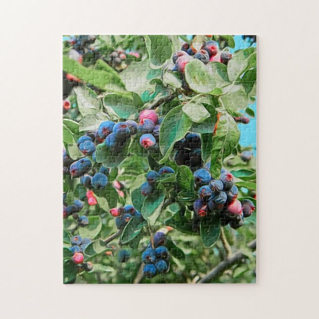 Saskatoon Jigsaw Puzzle (Vertical)