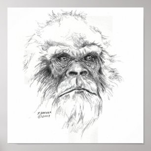 Sasquatch Prints