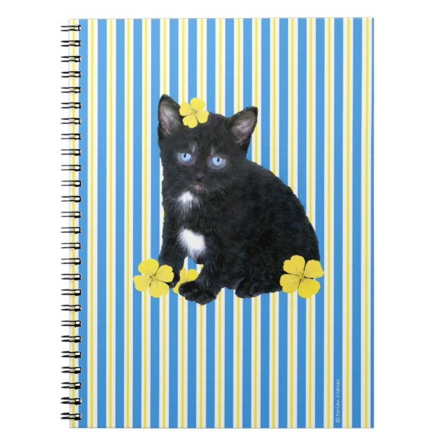 "Sassa" Notebook (Front)