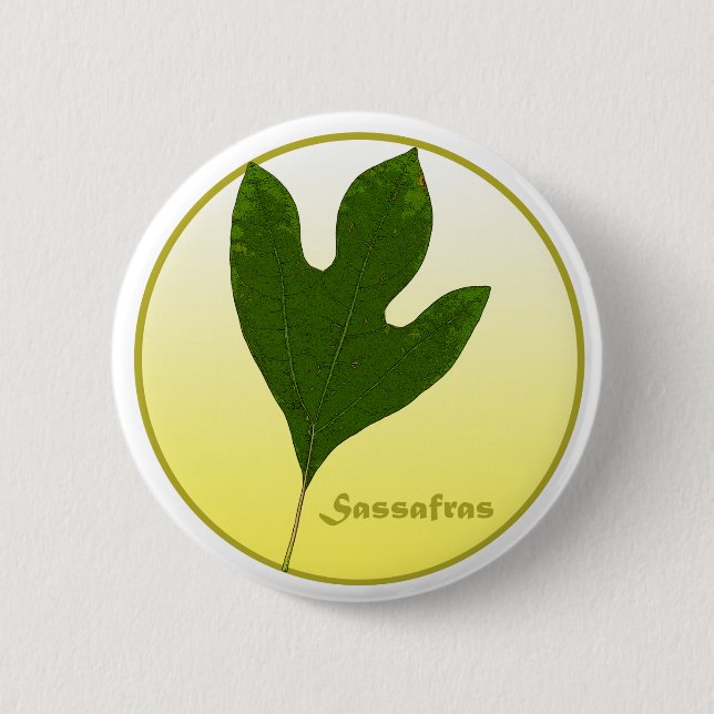 Sassafras Tree 6 Cm Round Badge (Front)