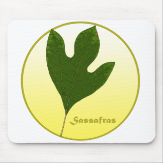 Sassafras Tree Mouse Mat